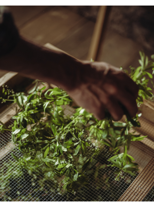 GIN MONKEY 47 Monkey 47 Distiller’s Cut 2023 - 47% - 50 CL GIN MONKEY 47 Monkey 47 Distiller’s Cut 2023 - 47% - 50 CL