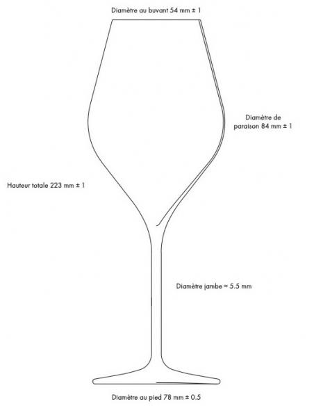 Champagne 6 luxury glasses 38 cl Made In Reims
