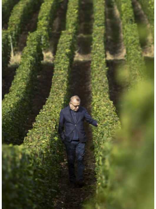 Dom Pérignon Vintage 2006 rosé - 300 cl Dom Pérignon Vintage 2006 rosé - 300 cl