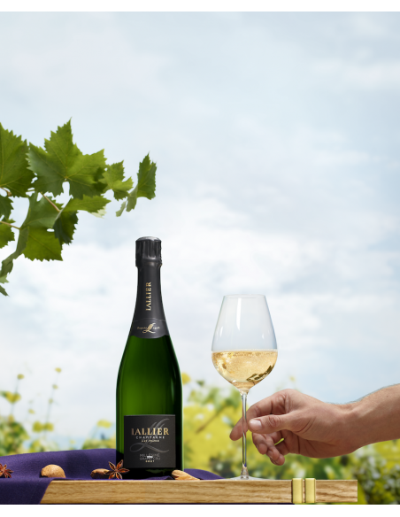 LALLIER CHAMPAGNE Grand Cru Vintage 2014 - 75cl