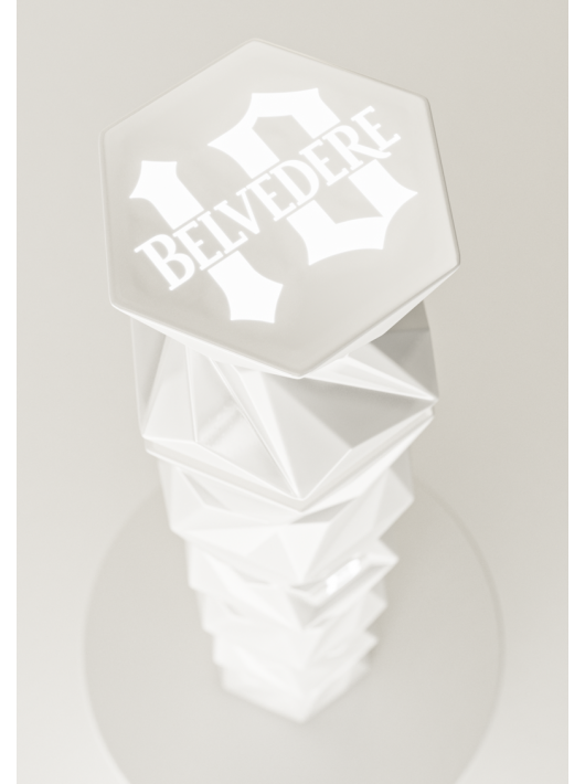 Belvedere Vodka Set 2 Gläser & B10 Luminous Limited Edition - 40% - 70 CL