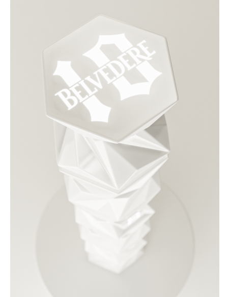 Belvedere Vodka Set 2 Gläser & B10 Luminous Limited Edition - 40% - 70 CL