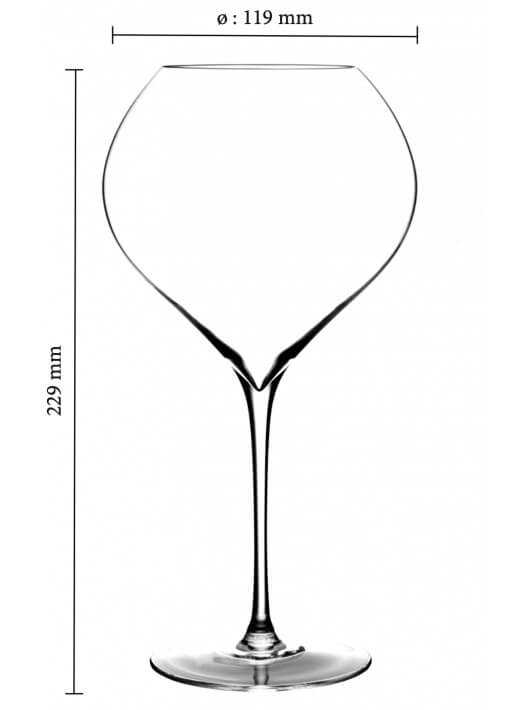 Champagne 2 VERRES 75 CL "CHAMPAGNE ON ICE" MADE IN REIMS Champagne 2 VERRES 75 CL "CHAMPAGNE ON ICE" MADE IN REIMS