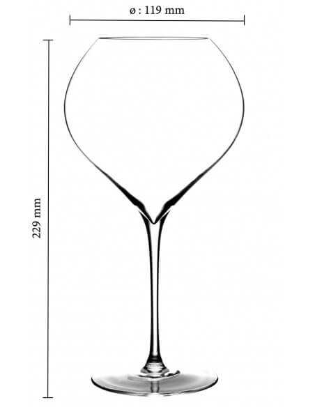 Champagne 2 GLASSES 75 CL "CHAMPAGNE ON ICE" MADE IN REIMS