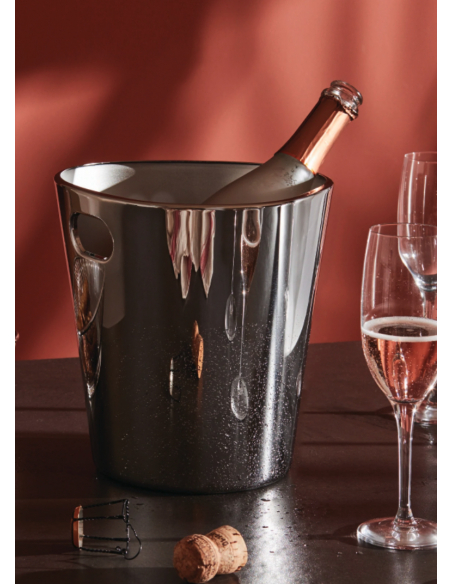 ALESSI EISEIMER 1 Flaschen Edelstahl 18/10 Brillant