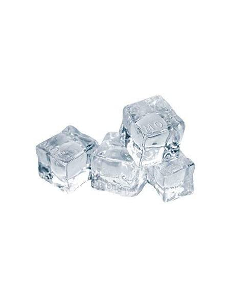 Moët & Chandon Ice cube mould with Moët logo engrave
